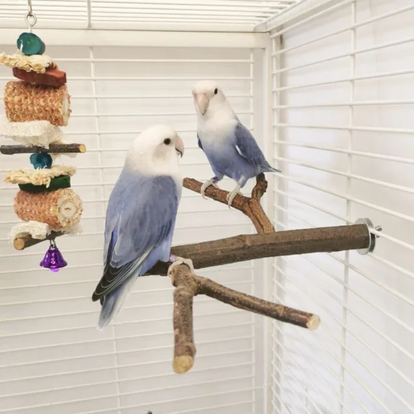 Multi Stand Branch Parrot Perch Bird Cage Toys Natural Bird Perch Stand for Small Budgies Conure Parrot Parakeets Bird Toy - Image 3