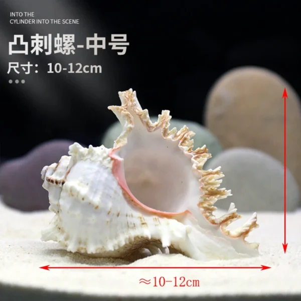 Fish Simulation Fake Coral Landscaping Full Rockery Aquatic Plants Decoration Marine Aquarium Scenery Fish and Hideout House - Image 5