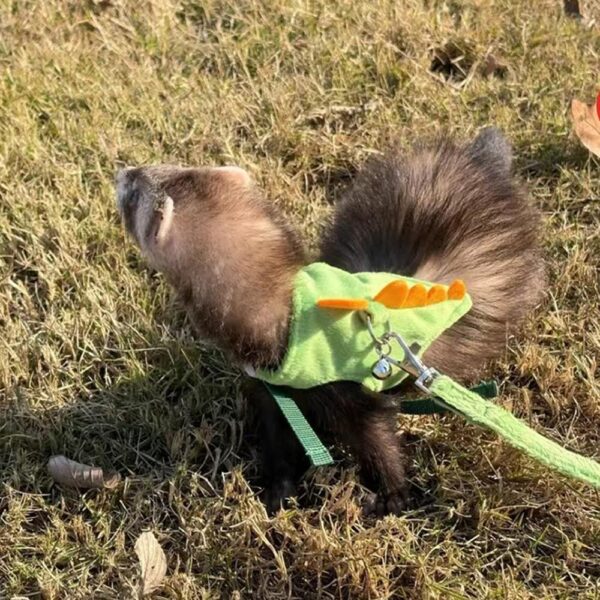 Adjustable Ferret Drawstring Vest  With Bell Pet Outdoor Walking Rope Bunny Harness Harness Vest Dinosaur Design Pet Accessories - Image 4