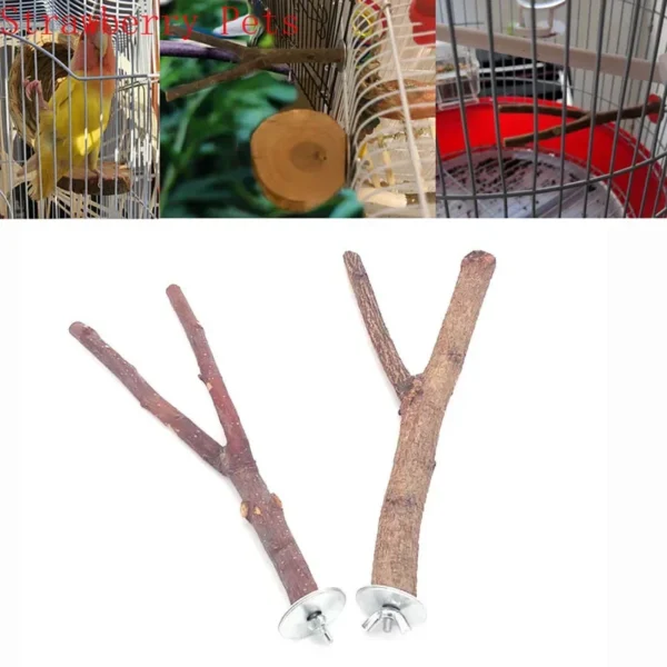 Natural Wood Pet Parrot Raw Wood Fork Tree Branch Stand Rack Squirrel Bird Hamster Branch Perches Chew Bite Toys Stick - Image 5