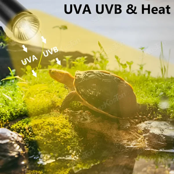 Reptile Insulated Lamp with Fixing Clip 50W UVA UVB Bulb Feeding Box Timeable Heat Lamp for Lizard Supplies Turtle Accessories - Image 2