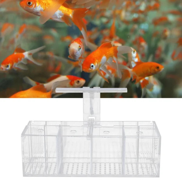 4-Grid Acrylic Fish Tank with LED Light, 2.5W Low-Power, IPX8 Waterproof, Tabletop Aquarium for Fighting Fish, Shrimp & More - Image 3