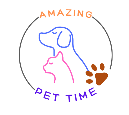 Amazing Pet Time
