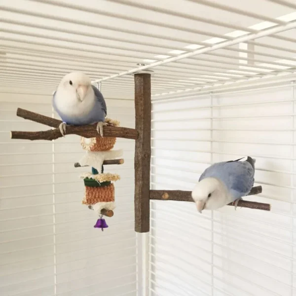 Multi Stand Branch Parrot Perch Bird Cage Toys Natural Bird Perch Stand for Small Budgies Conure Parrot Parakeets Bird Toy