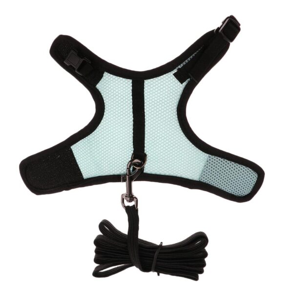 Adjustable Ferret Harness/Baby Rabbit/Squirrel/Hamster Rat Mouse Leash Lead Rope - Image 5