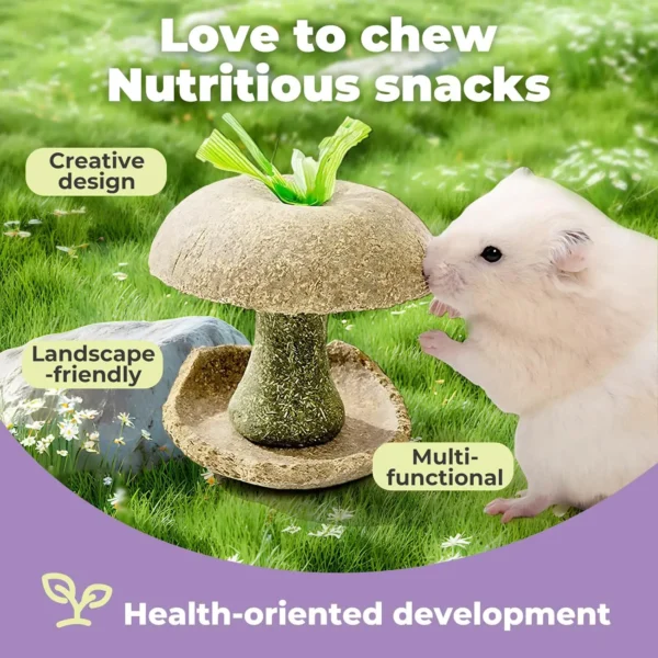 Apple Core Shaped Hamster Chew Toy - Natural Small Pet Dental Treat for Guinea Pig, Rabbit, Chinchilla, Rat - Image 5