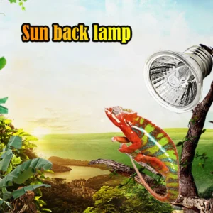 UV Light Bulbs Heating Temperature Controller Bulb Turtle Basking UV Heating Light Full Spectrum Sunlamp