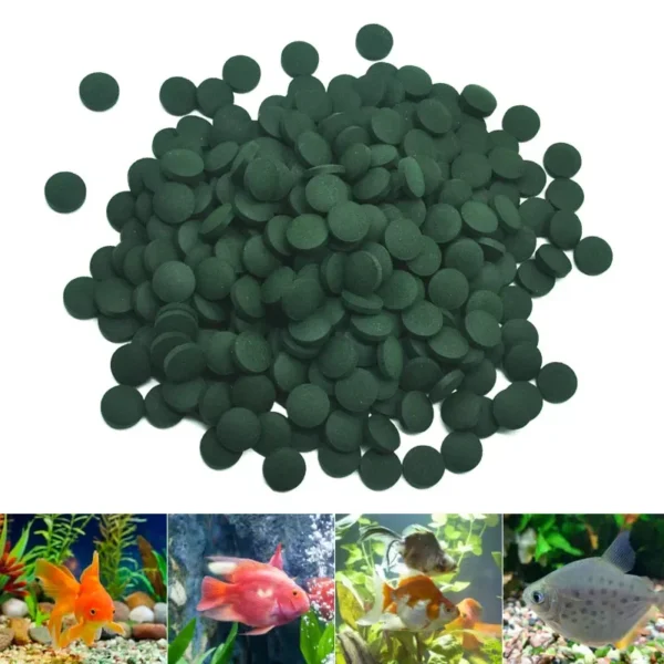 100pcs High Purity Spirulina Tablets Spiral Seaweed Enrichment Favorite Pets Food Fish Crystal Red Shrimp Fish Food Aquarium - Image 3