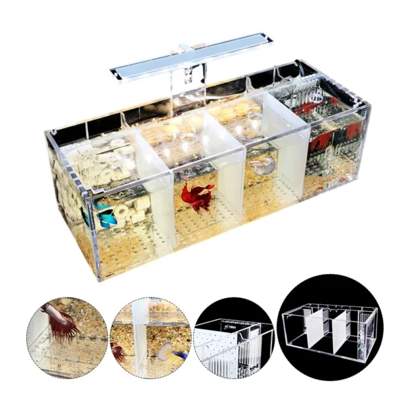 Aquarium Acrylic Fish Tank Breeding Isolation Box Goldfish Fighting Fish Viewing Tank Small Fry Breeder Isolations Box Supplies - Image 6