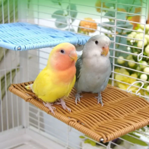 Imitation Vine Parrot Perch Bite Resistant Wear Resistant Bird Resting Stand Breathable Square Bird Jumping Platform Rest - Image 5