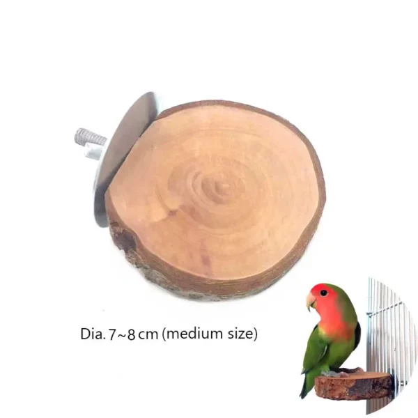 Natural Wood Pet Parrot Raw Wood Fork Tree Branch Stand Rack Squirrel Bird Hamster Branch Perches Chew Bite Toys Stick - Image 9