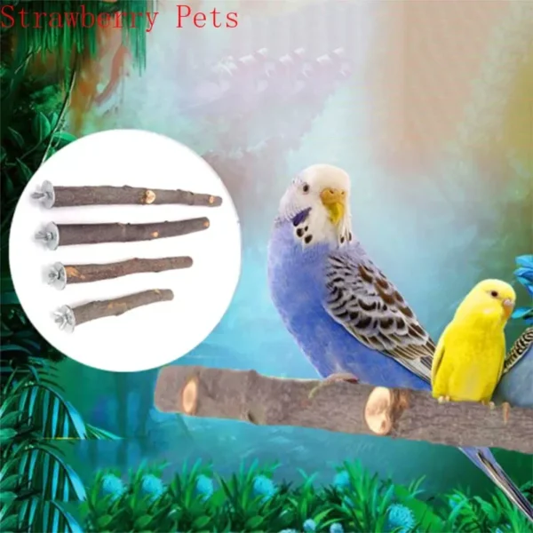 Natural Wood Pet Parrot Raw Wood Fork Tree Branch Stand Rack Squirrel Bird Hamster Branch Perches Chew Bite Toys Stick - Image 6
