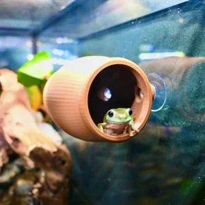 Decoration of cave feeding boxes for reptiles such as cylindrical tree frogs, geckos, lizards, etc