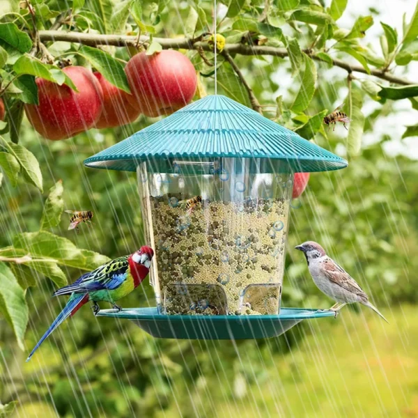 Window Wild Bird Feeder House Transparent Plastic Bird Feeder Hanging Peanut Nut Feeding Station Garden Seed Dispenser - Image 6