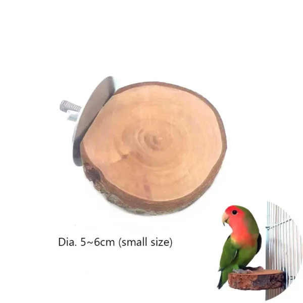 Natural Wood Pet Parrot Raw Wood Fork Tree Branch Stand Rack Squirrel Bird Hamster Branch Perches Chew Bite Toys Stick - Image 11