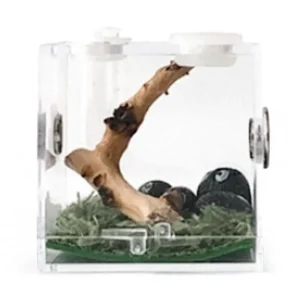 Spider Reptile Insect Feeding Box Reptile Breeding Box Terrarium Accessories Insect Box For Spider Cricket Snail Tarantula